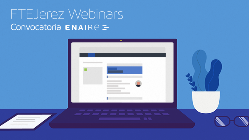 ENAIRE online seminar